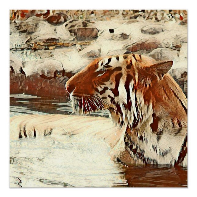 Poster tigre de natation de couleur chaude (Devant)