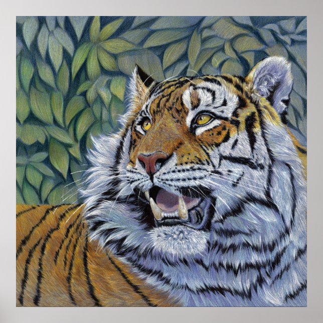 Poster Tigre de schukina С С807 (Devant)