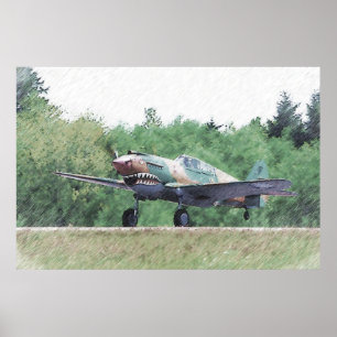 Poster Tigre de vol - dessin P-40