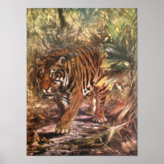 Poster Tigre du Bengale par CE Swan, animal sauvage Vinta (Devant)