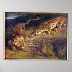 Poster Tigre et lion
