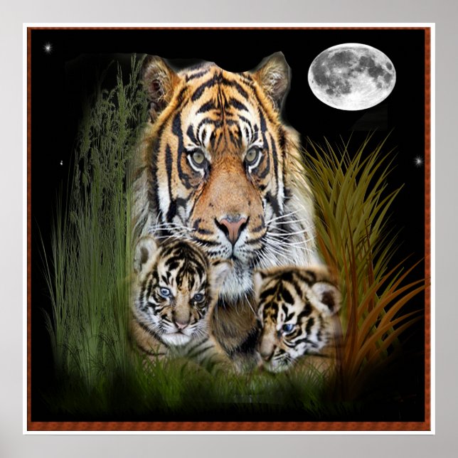 Poster tigre et petits (Devant)