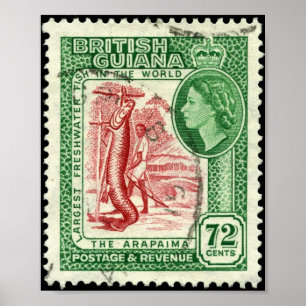 Poster Timbre Portefeuille British Guiana 1954 72c