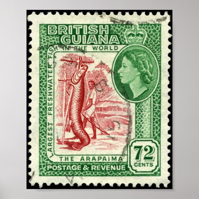 Poster Timbre Portefeuille British Guiana 1954 72c (Devant)