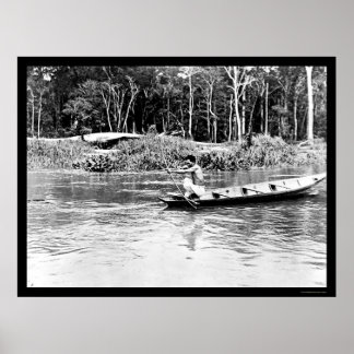 Poster Tir des poissons sur la rivière Amazon 1902