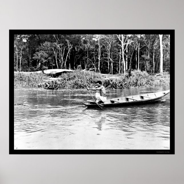 Poster Tir des poissons sur la rivière Amazon 1902 (Devant)