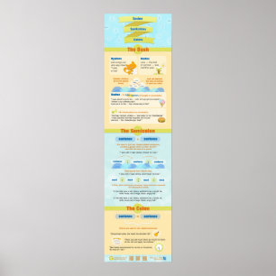 Poster Tirets, points-virgules et points-virgules