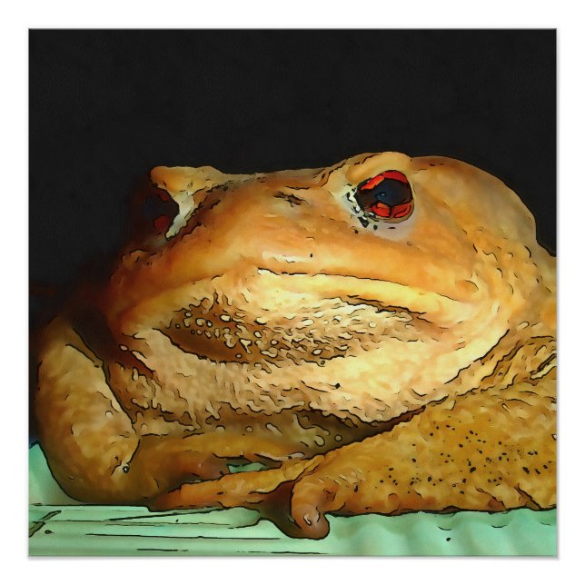 Poster Toad Avec La Peinture De Disposition Philosophique (Devant)