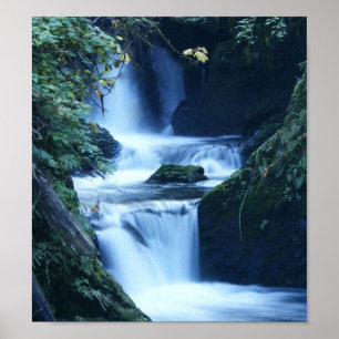 Poster Toile de cascade Quinalt Imprimer