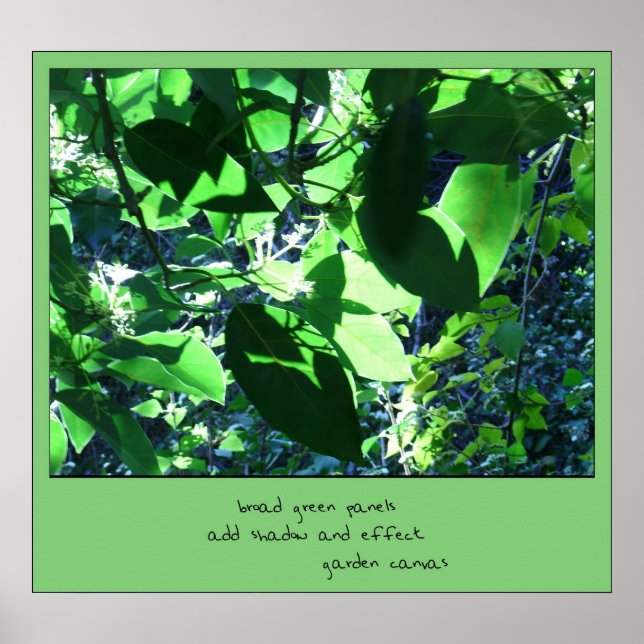 Poster Toile de jardin Haiku (Devant)