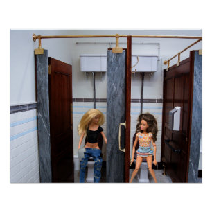 Poster Toilettes Publiques.