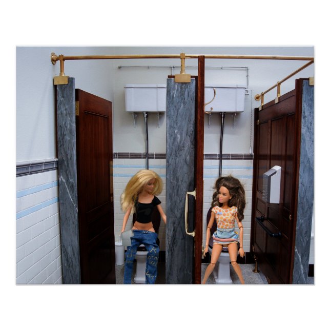 Poster Toilettes Publiques. (Devant)