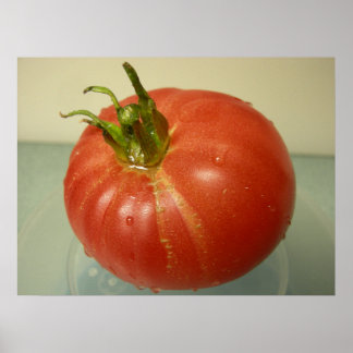 Poster Tomate de Brandywine