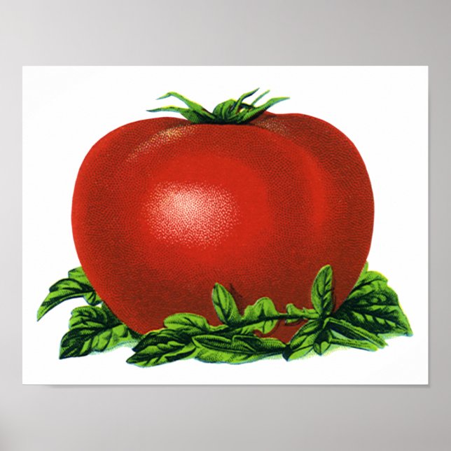 Poster Tomate Rouge Mûr Vintage, Légumes et Fruits (Devant)