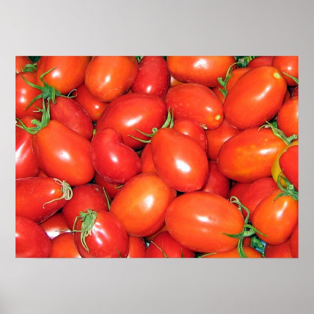 Poster Tomates de prune (Devant)