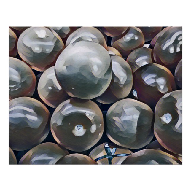 POSTER TOMATOES   (Devant)