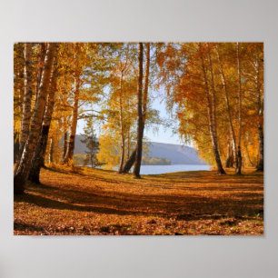 Poster Tombez dans l'automne