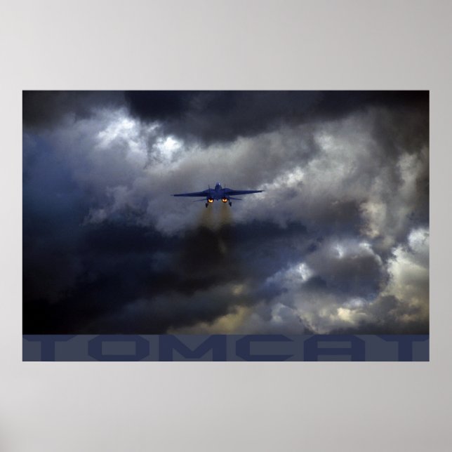 Poster Tomcat (Devant)