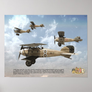 Poster Top As de l'armée de l'air austro-hongroise KuK