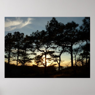 Poster Torrey Pine Sunset II Californie Paysage