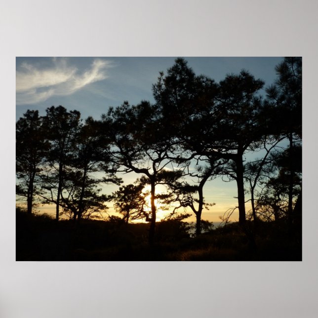 Poster Torrey Pine Sunset II Californie Paysage (Devant)