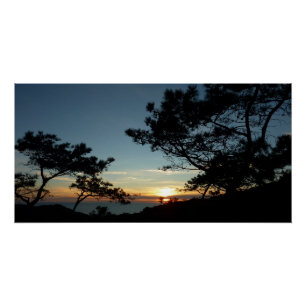 Poster Torrey Pine Sunset III Paysage californien