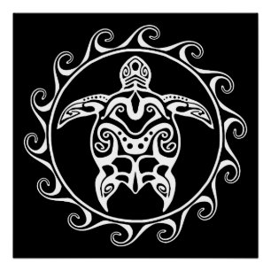 Poster Tortue blanche