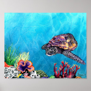 Poster Tortue de mer
