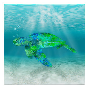 Poster Tortue de mer verte