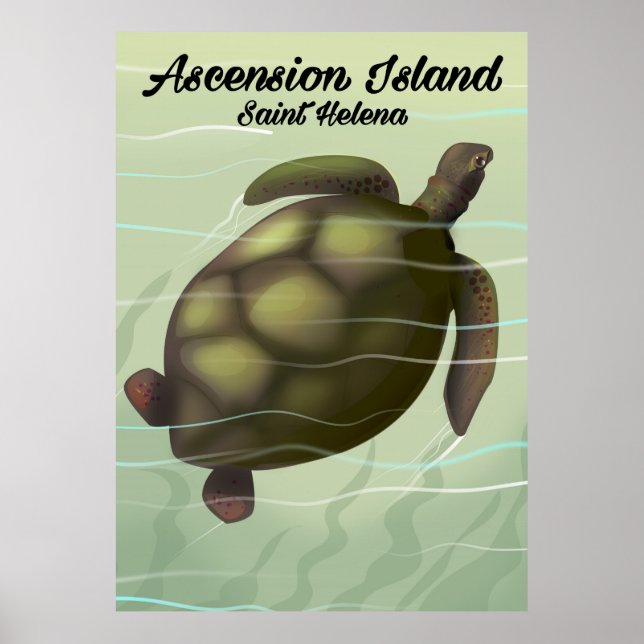 Poster Tortue marine de l'île de l'Ascension (Devant)