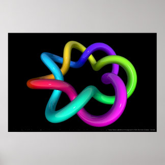 Poster Torus Twist