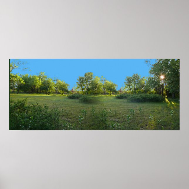 Poster Tôt le soir (Devant)