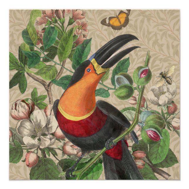 Poster Toucan Jungle Tropical Bird Belle antique (Devant)