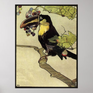 Poster Toucan victorien