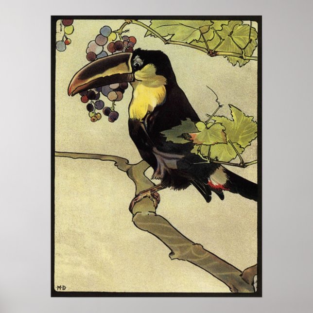 Poster Toucan victorien (Devant)