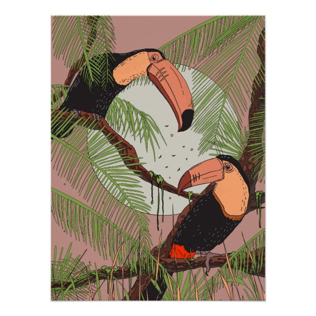 Poster Toucans Vintage (Devant)