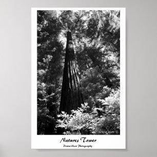 Poster Tour de l'affiche