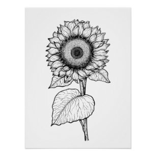 Poster Tournesol