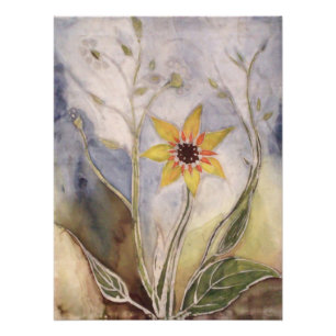 Poster Tournesol