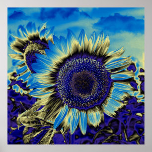 Poster Tournesol bleu
