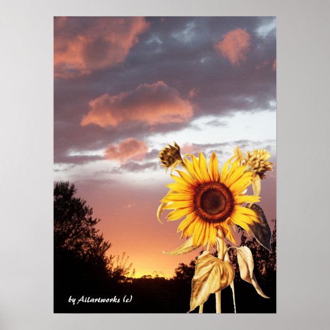 POSTER TOURNESOL ET COUCHER DE SOLEIL D'ÉTÉ ROSE (Devant)
