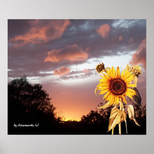 POSTER TOURNESOL ET COUCHER DE SOLEIL D'ÉTÉ ROSE (Devant)