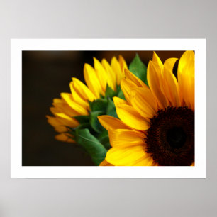 Poster Tournesols