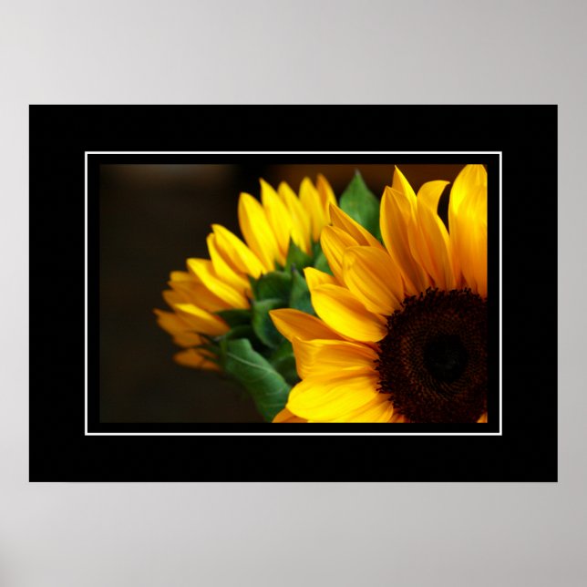 Poster Tournesols (Devant)