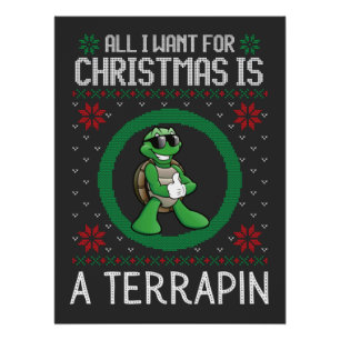 Poster Tout ce que je veux pour Noël, c'est une tortue mo