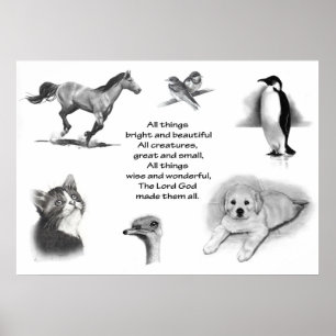 POSTER TOUTES LES CRÉATURES GRANDES ET PETITES : DESSINS