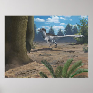 Poster Traces de Raptor Imprimer