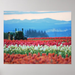 Poster Tracteur à ressort