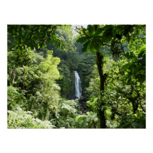 Poster Trafalgar Falls Tropical Rainforest Photographie