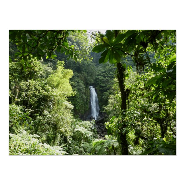 Poster Trafalgar Falls Tropical Rainforest Photographie (Devant)